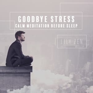 Goodbye Stress: Calm Meditation Before Sleep - Lily Zen