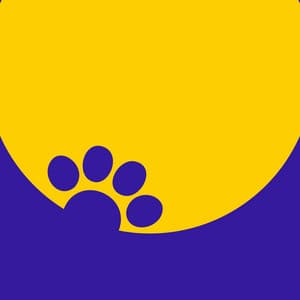 Twilight Purr: Ambient Music for Cats - Ambient Music Collective