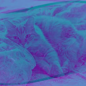 Fabulous - Lonely Cats - Relaxing Music for Cats