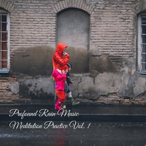Profound Rain Music Meditation Practice Vol. 1 - Meditation Rain Sounds