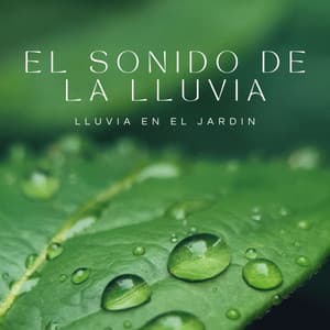 El Sonido De La Lluvia: Lluvia En El Jardin - Agradable Musica para Leer
