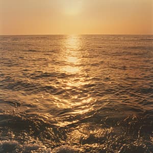 Tono Auditivo: Música Ambiental Para Un Estudio Relajado - Estudiando Música