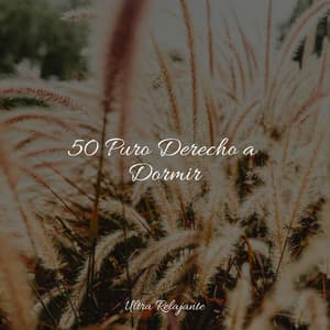 50 Puro Derecho a Dormir - Mantra para Dormir