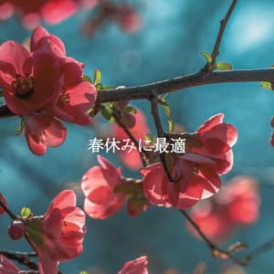 春休みに最適 - Wine Bar Music