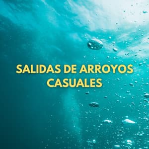 Salidas De Arroyos Casuales - Los durmientes de agua