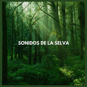 Sonidos de la Selva - Sonidos De La Selva