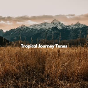 Tropical Journey Tunes - Alternative Lounge Jazz Premiere