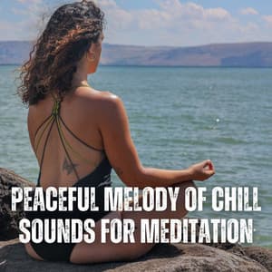 Peaceful Melody of Chill Sounds for Meditation - The Relaxation Principle