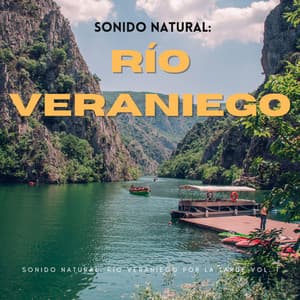 Sonido Natural: Río Veraniego Por La Tarde Vol. 1 - Vida Sonidos Naturaleza