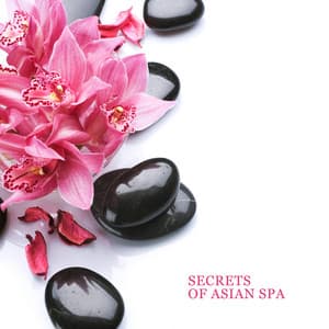Secrets of Asian Spa: Zen Music for Spa, Self-Care & Wellness, Relax Your Mind & Body - Relaxing Spa Oasis