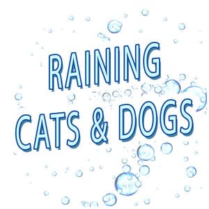 Raining Cats & Dogs - Rain for Deep Sleep