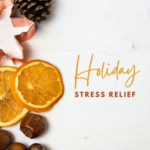 Holiday Stress Relief: Relaxing Christmas Music for Stress Relief - Xmas Holiday Collection