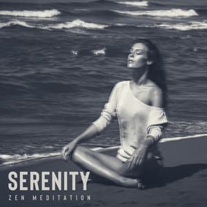 Serenity Zen Meditation: Peace and Calm, Daily Practice of Mindfulness, Regaining Harmony - Mindfulness Meditation Unit