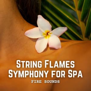 Fire Sounds: String Flames Symphony for Spa - Fireplace Dream