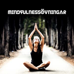 Mindfulnessövningar - Andlig Musiksamling