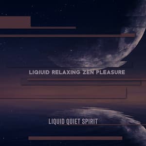 Liqiuid Relaxing Zen Pleasure - Liquid Quiet Spirit