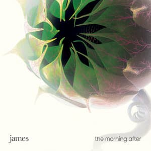 The Morning After - James