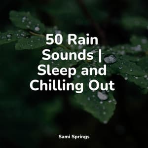 50 Rain Sounds | Sleep and Chilling Out - Study Zone