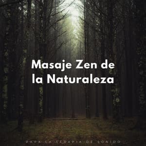 Retirarse En La Naturaleza Para La Terapia De Sonido - Ambiente de naturaleza