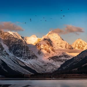 Música De Relajación Serena: Paz Paisajes Sonoros - Lista de reproducción tranquila