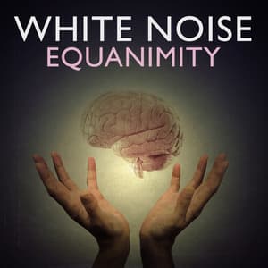 White Noise: Equanimity - Nature White Noise for Relaxation and Meditation