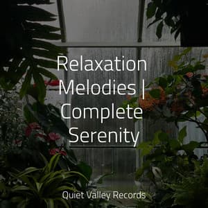Relaxation Melodies | Complete Serenity - Deep Horizon Waves
