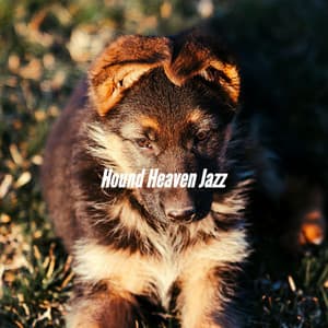 Hound Heaven Jazz - Dog Sleeping Soundtracks Deluxe
