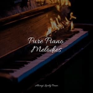 50 Calming Melodies to Help You Study and Meditate - Little Magic Piano