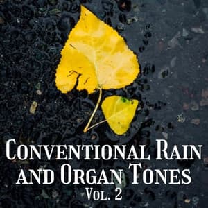 Conventional Rain and Organ Tones Vol. 2 - Spa Music Playlist