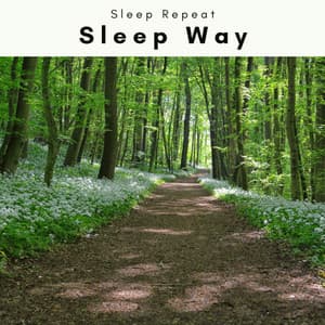 A Sleep Way - Sleep Repeat