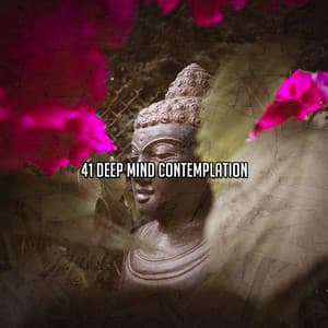 41 Deep Mind Contemplation - Nature Sounds Meditation
