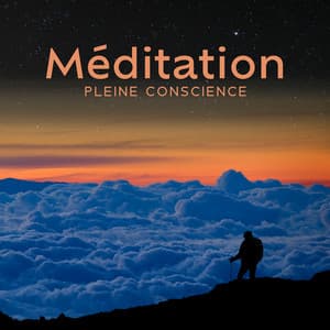 Méditation pleine conscience: Melodie astrali, Thérapie holistique - Exercices à zen musique douce