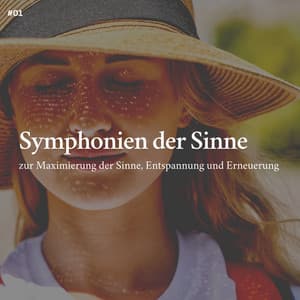 * Symphonien der Sinne zur Maximierung der Sinne, Entspannung und Erneuerung * - Schlafmusik