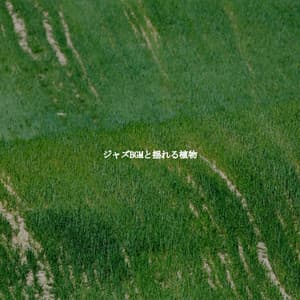 ジャズBGMと揺れる植物 - Smooth Jazz Sax Instrumental