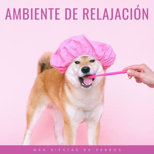 Ambiente De Relajación: Más Siestas De Perros - Música Tranquila