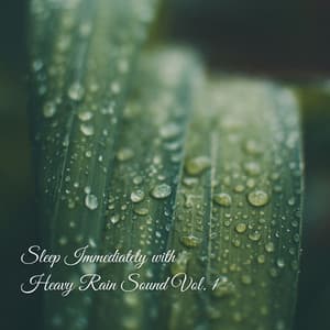 Sleep Immediately with Heavy Rain Sound Vol. 1 - Rain Wonder