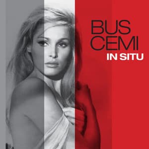 In Situ - Buscemi