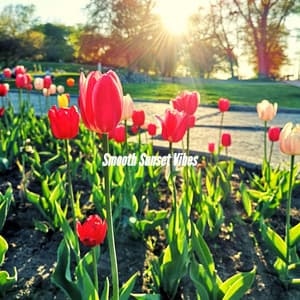 Smooth Sunset Vibes - Jazz Elegante para Hoteles