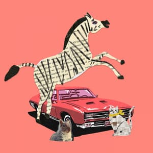 Lofi Collage - ILYO