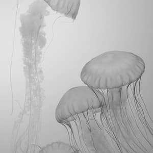 Charming Backdrop for Sleeping In - Relaxing Sleep Music