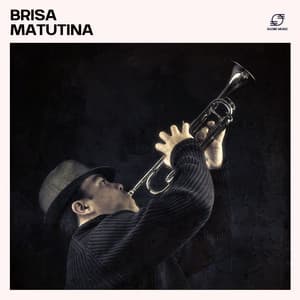 Brisa Matutina - Academia de Música Sensual