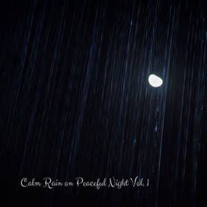 Calm Rain on Peaceful Night Vol. 1 - Natures Acoustics