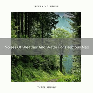 Noises Of Weather And Water For Delicious Nap - Sleep Dimension