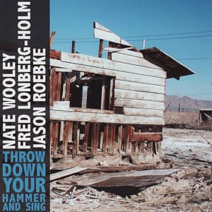Throw Down Your Hammer and Sing - Nate Wooley