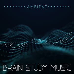 Ambient Brain Study Music: Relaxing New Age Focus Sounds in the Background for Work and Studying - Brain Study Music Guys