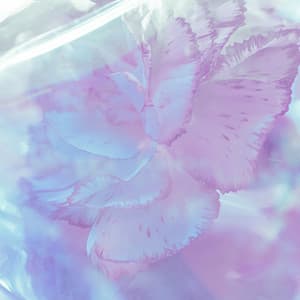 Stillness Within - Sleeping Ember