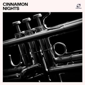 Cinnamon Nights - Smooth Jazz