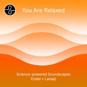 Meditation: You Are Relaxed - Endel
