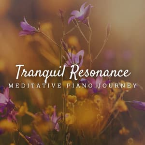 Tranquil Resonance: Meditative Piano Journey - Tranquility Piano