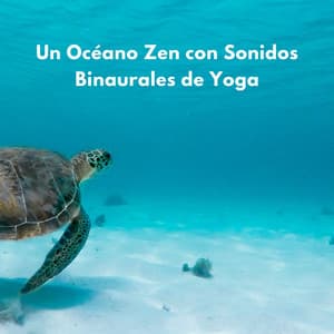 Un Océano Zen Con Sonidos Binaurales De Yoga - Domingos por el Océano